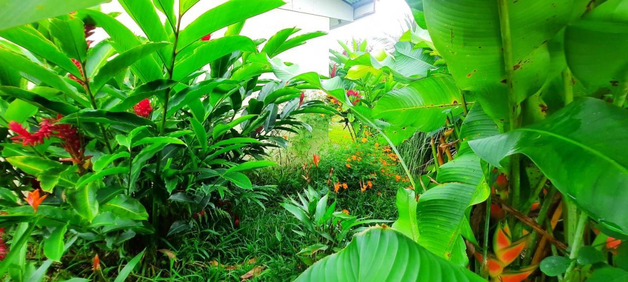 Apartamento Granja Agua Azul.A/C WiFi,2 Camas, Rio, jardines. La Fortuna Exterior foto